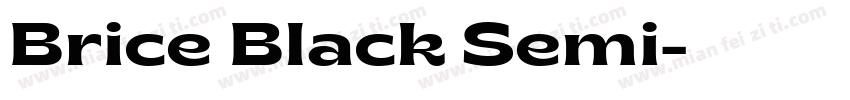 Brice Black Semi字体转换